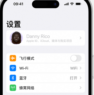 蓬溪appleID维修服务iPhone设置中Apple ID显示为灰色无法使用