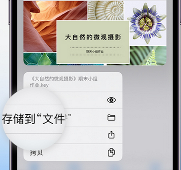 蓬溪apple维修中心分享iPhone文件应用中存储和找到下载文件