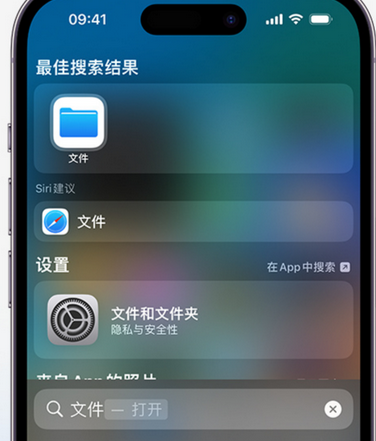 蓬溪apple维修中心分享iPhone文件应用中存储和找到下载文件