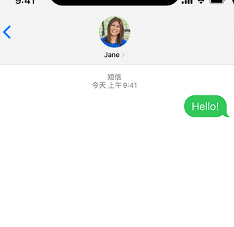 蓬溪apple维修iPhone上无法正常发送iMessage信息