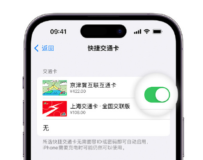 蓬溪apple维修点分享iPhone上更换Apple Pay快捷交通卡手绘卡面 