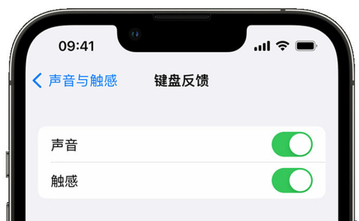 蓬溪苹果手机维修分享iPhone 14触感键盘使用方法 