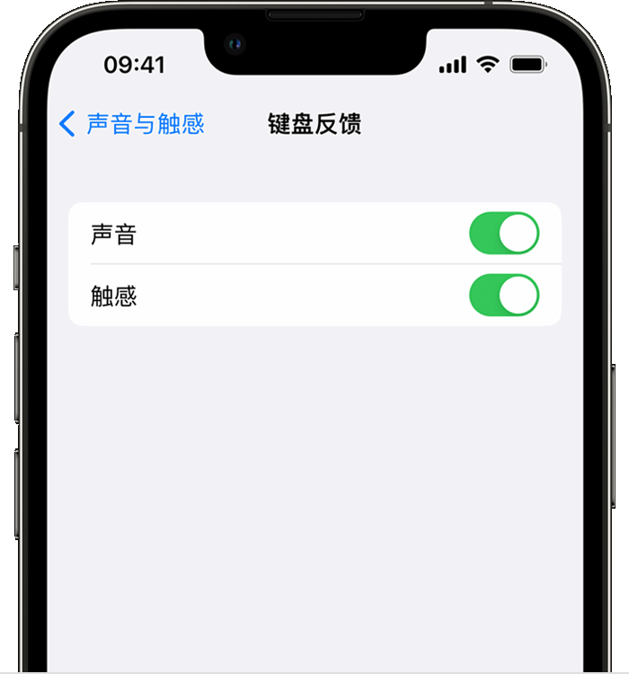 蓬溪苹果14维修店分享如何在 iPhone 14 机型中使用触感键盘 