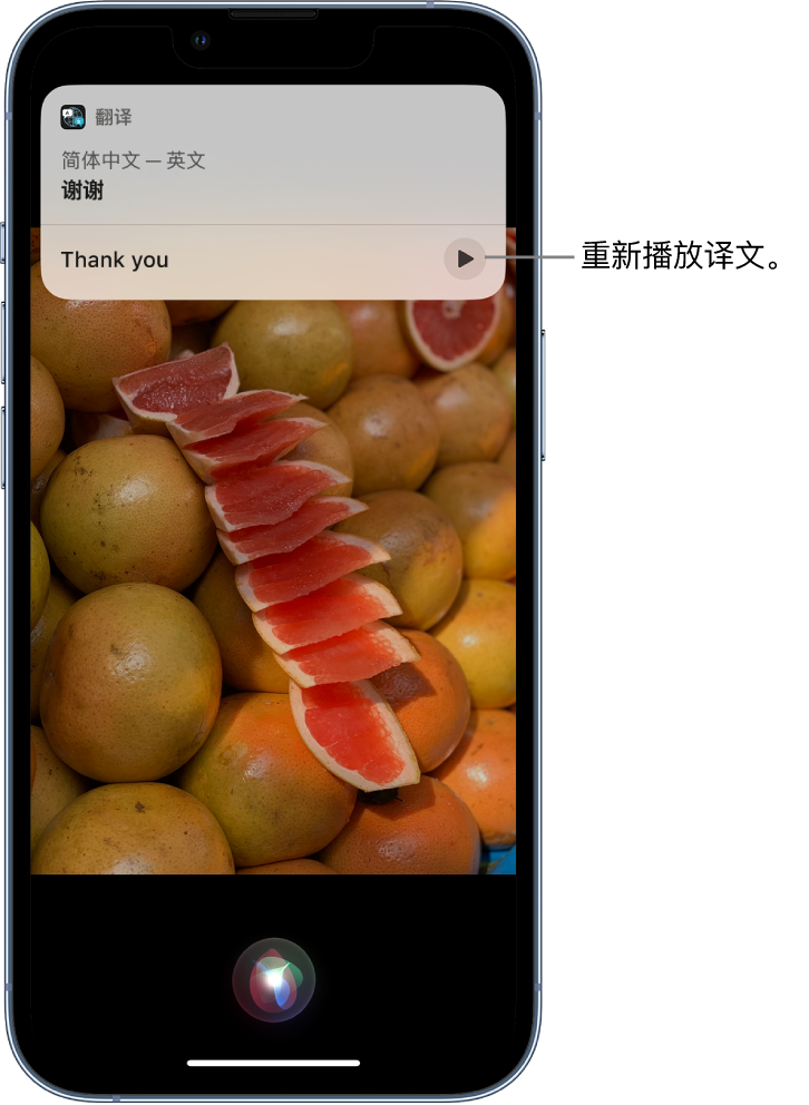 蓬溪苹果14维修分享 iPhone 14 机型中使用 Siri：了解 Siri 能帮你做什么 