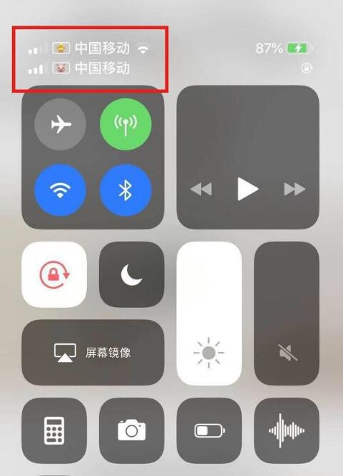 蓬溪苹果手机维修分享为 iPhone 12 双卡设置标签 