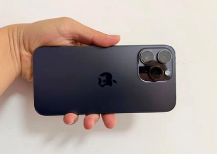 蓬溪苹果维修点分享iPhone 14 Pro Max黑屏少见故障盘点 